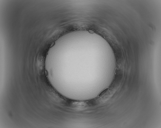 X0000112490133200908311439