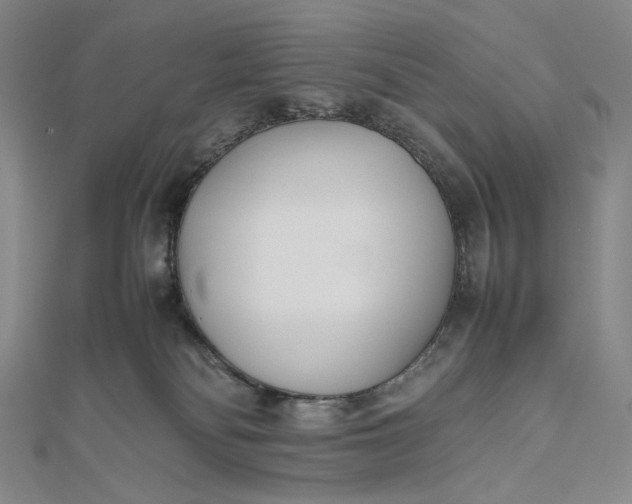 X0000112490134200908311439