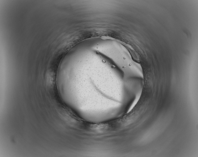 X0000112490135200908311439