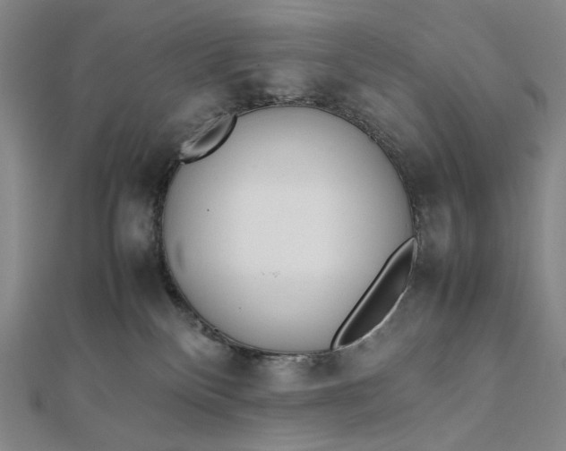 X0000112490136200908311439