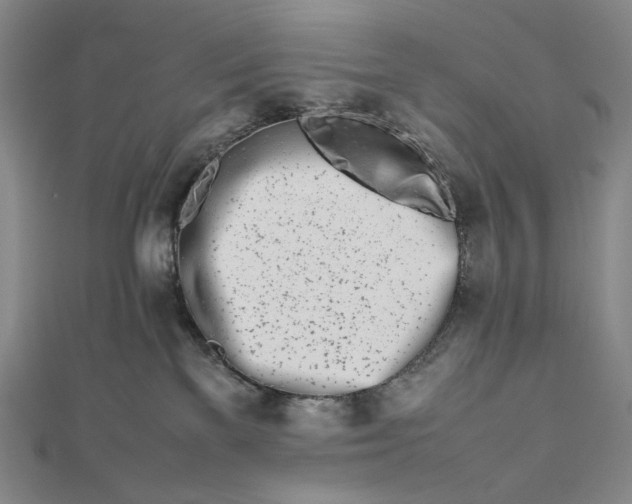 X0000112490137200908311439