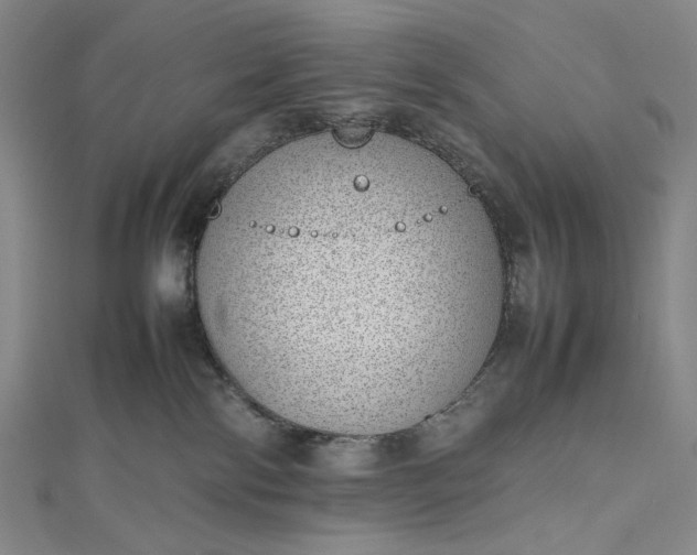 X0000112490138200908311439