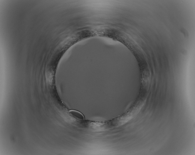 X0000112490139200908311439