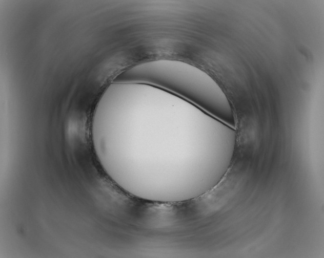 X0000112490140200908311439