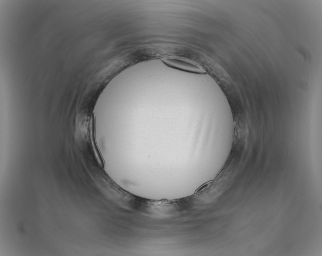 X0000112490141200908311439