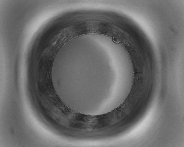 X0000112490143200908311439