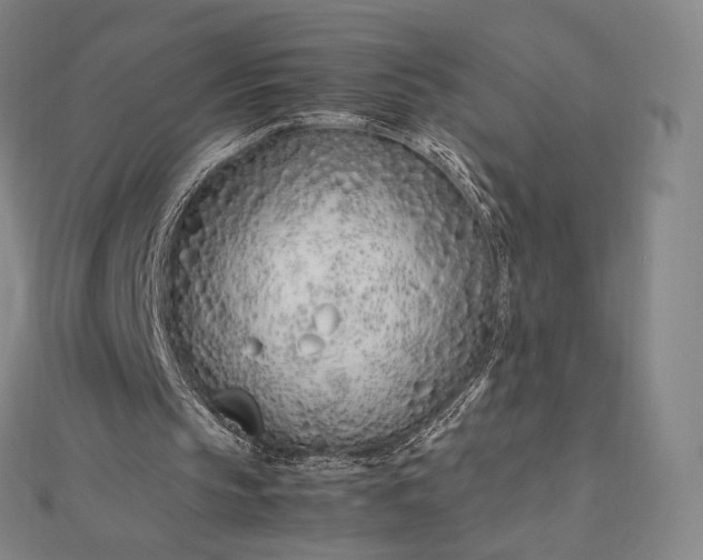 X0000112490145200908311439