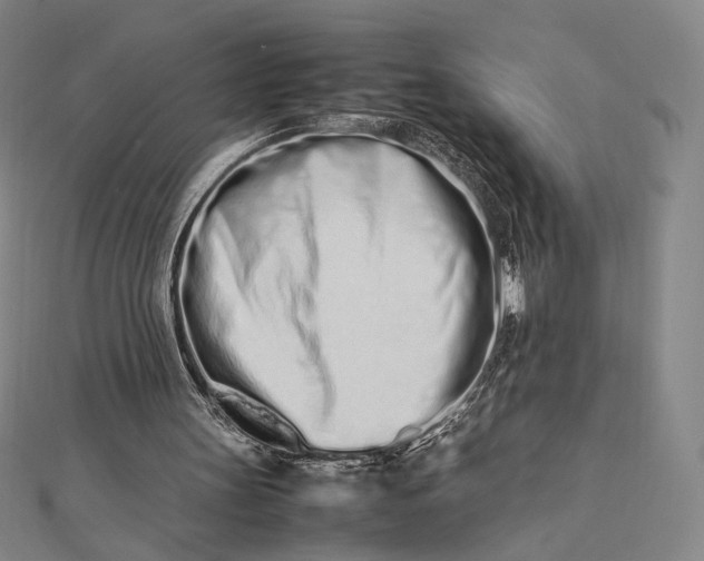 X0000112490147200908311439