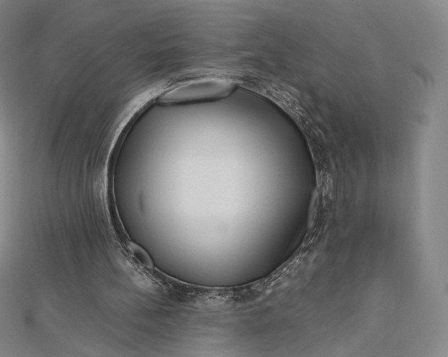 X0000112490148200908311439