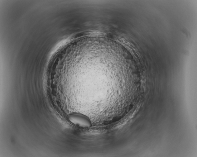 X0000112490149200908311439