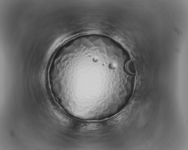 X0000112490151200908311439