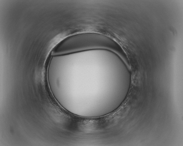 X0000112490152200908311439