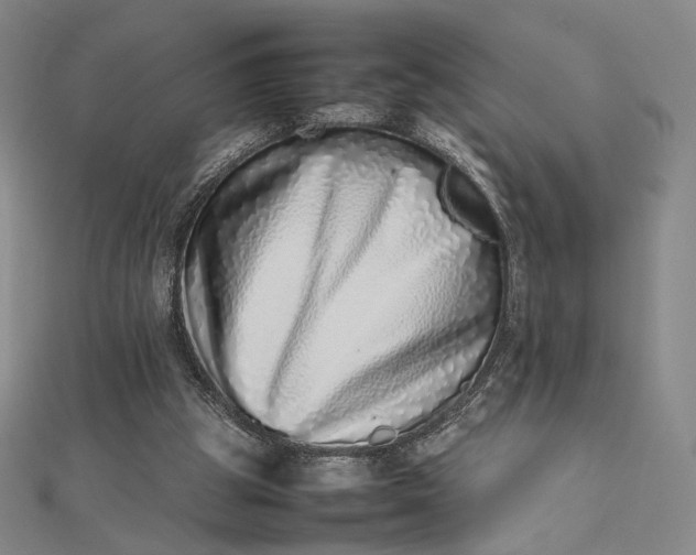 X0000112490153200908311439