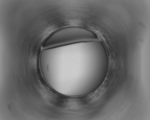 X0000112490154200908311439