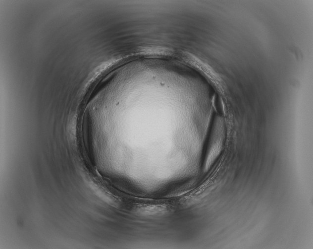 X0000112490155200908311439