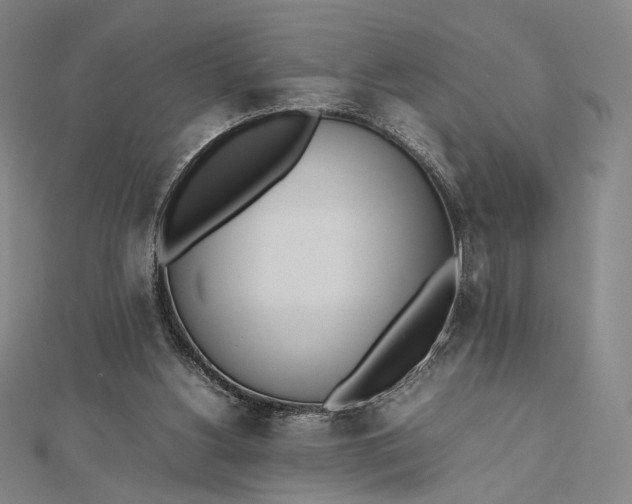 X0000112490156200908311439