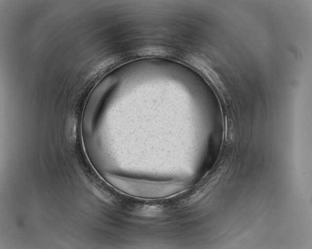 X0000112490157200908311439