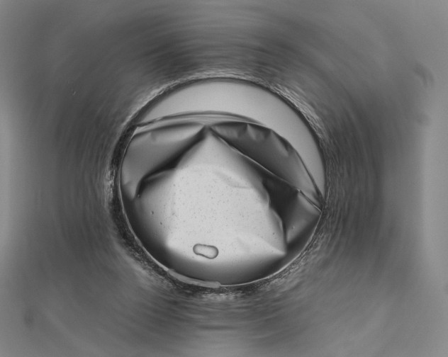 X0000112490160200908311439