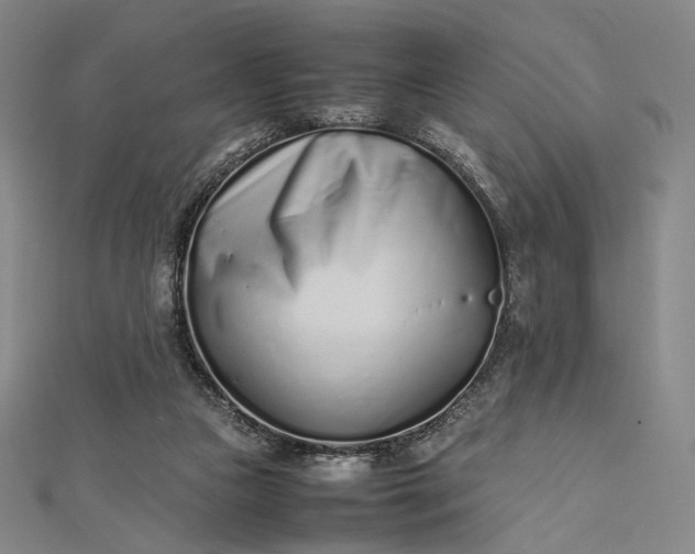 X0000112490161200908311439