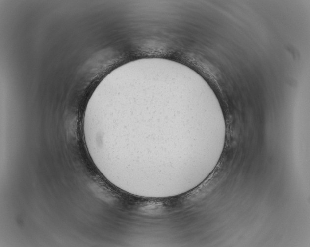 X0000112490162200908311439