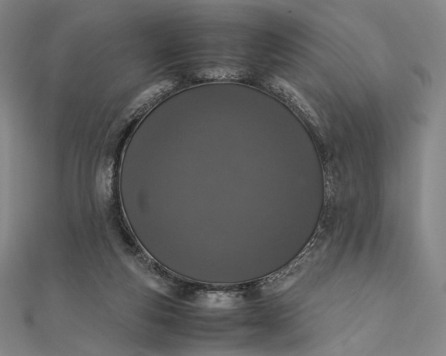 X0000112490163200908311439