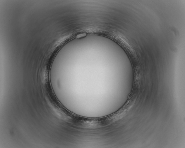 X0000112490164200908311439