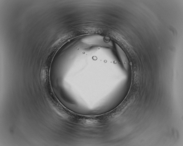 X0000112490165200908311439