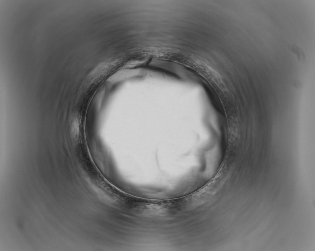 X0000112490166200908311439