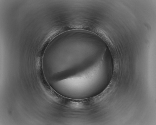 X0000112490167200908311439