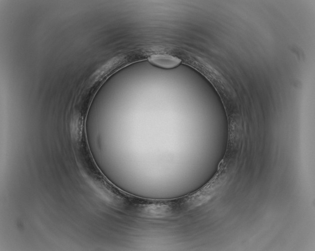 X0000112490168200908311439