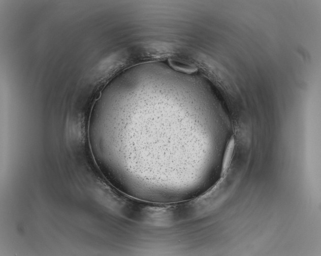 X0000112490170200908311439