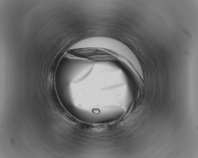 X0000112490172200908311439