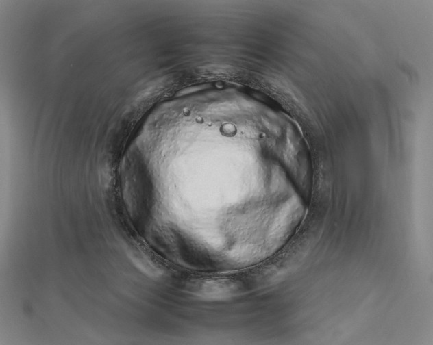 X0000112490173200908311439