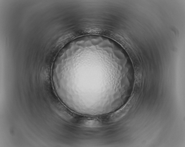 X0000112490175200908311439