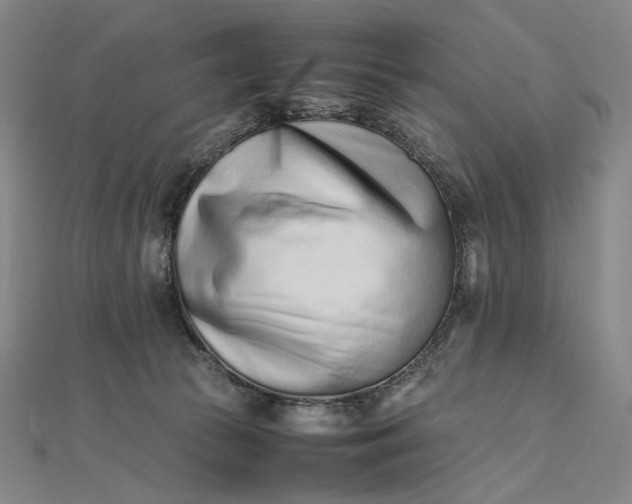 X0000112490177200908311439