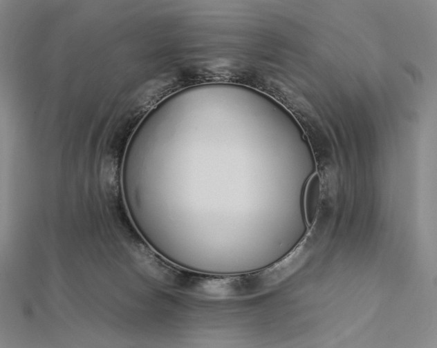 X0000112490178200908311439