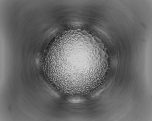 X0000112490181200908311439