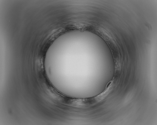 X0000112490182200908311439