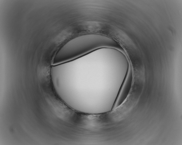 X0000112490184200908311439