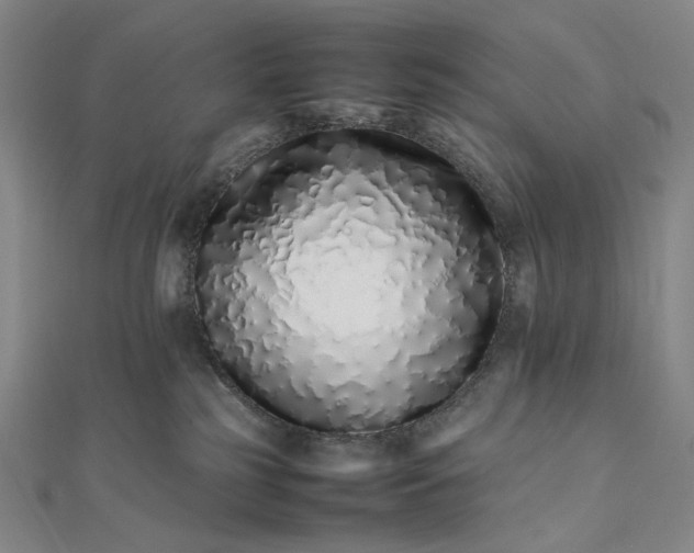 X0000112490185200908311439