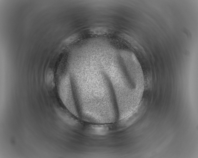 X0000112490187200908311439