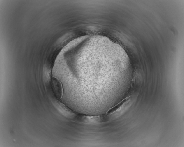 X0000112490188200908311439