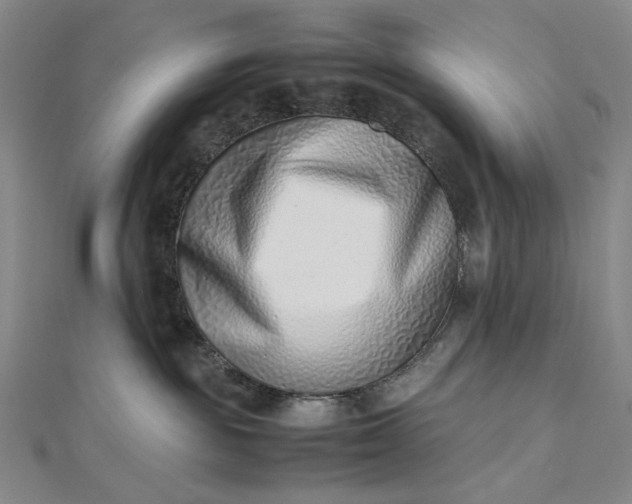 X0000112490189200908311439