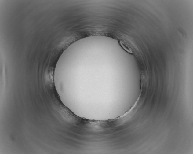 X0000112490190200908311439