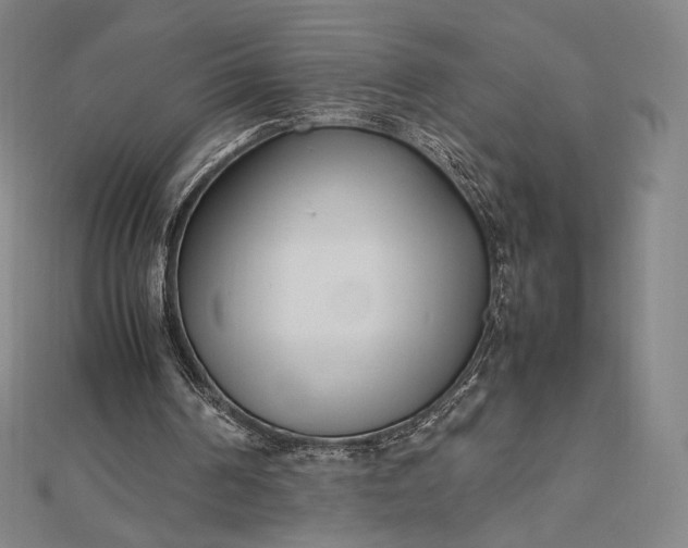 X0000112490194200908311439