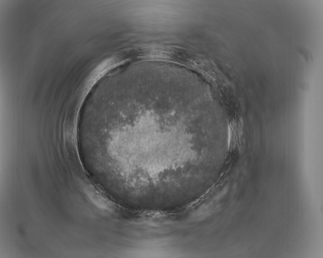 X0000112490195200908311439