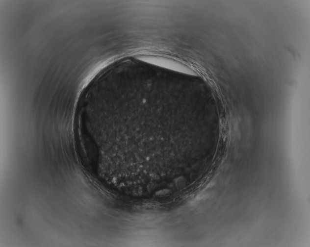 X0000112490196200908311439