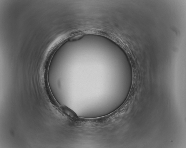 X0000112490197200908311439