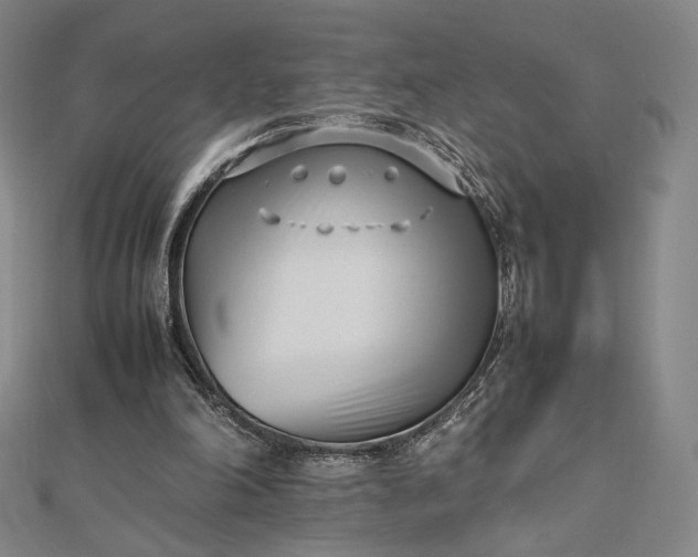 X0000112490198200908311439