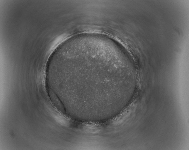 X0000112490199200908311439